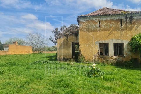 Helårsgrund i Agueda, Aveiro, Agueda - € 140.000 | Ref: 2066 - foto 7