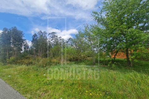 Helårsgrund i Agueda, Aveiro, Agueda - € 180.000 | Ref: 2065 - foto 1