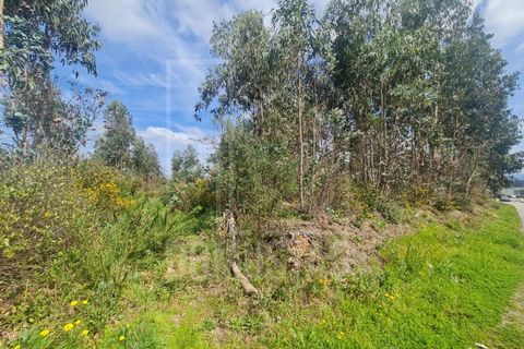 Helårsgrund i Agueda, Aveiro, Agueda - € 180.000 | Ref: 2065 - foto 2