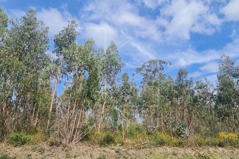 Helårsgrund i Agueda, Aveiro, Agueda - € 180.000 | Ref: 2065 - foto 4