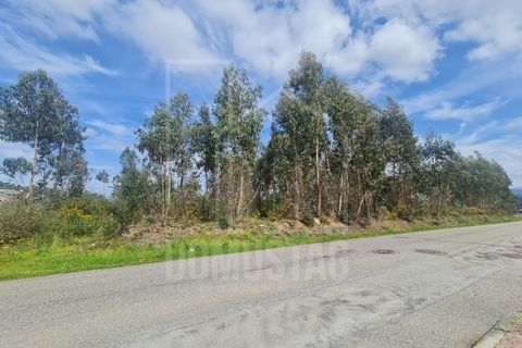Helårsgrund i Agueda, Aveiro, Agueda - € 180.000 | Ref: 2065 - foto 5