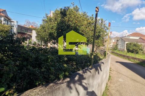 Byhus i Penela, Coimbra, Penela - € 56.000 | Ref: LT1363 - foto 6