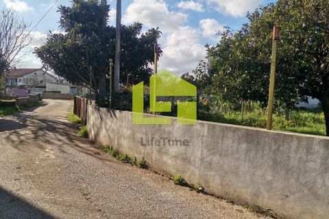Byhus i Penela, Coimbra, Penela - € 56.000 | Ref: LT1363 - foto 11