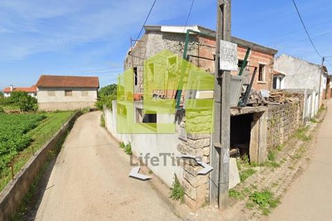 Byhus i Penela, Coimbra, Penela - € 56.000 | Ref: LT1363 - foto 13