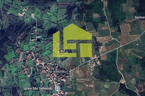 Byhus i Penela, Coimbra, Penela - € 56.000 | Ref: LT1363 - foto 15