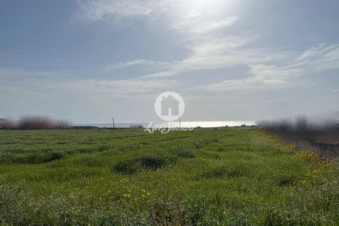 Helårsgrund i Vila do Conde, Porto, Vila do Conde - € 450.000 | Ref: 240-T-25648 - foto 4