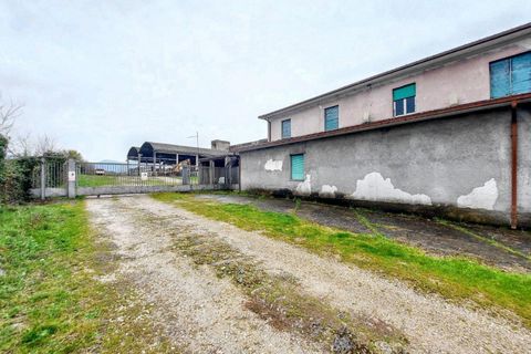 Terra a Arce, Frosinone, Arce - € 855.863 | Ref: 26013 - foto 3