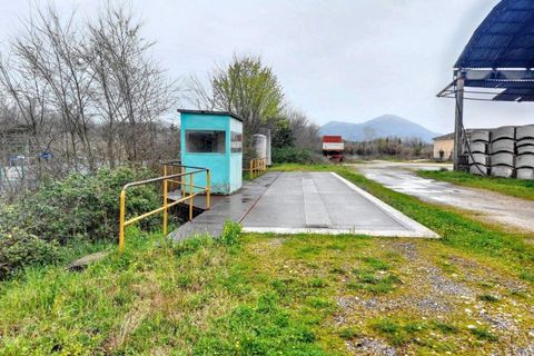 Terra a Arce, Frosinone, Arce - € 855.863 | Ref: 26013 - foto 9