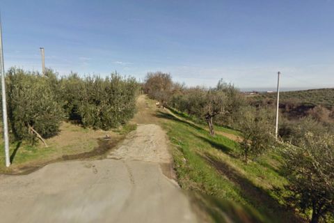 Helårsgrund i Ari, Chieti, Ari - € 60.040 | Ref: 24763 - foto 3