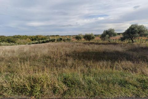 Helårsgrund i Ari, Chieti, Ari - € 60.040 | Ref: 24763 - foto 5