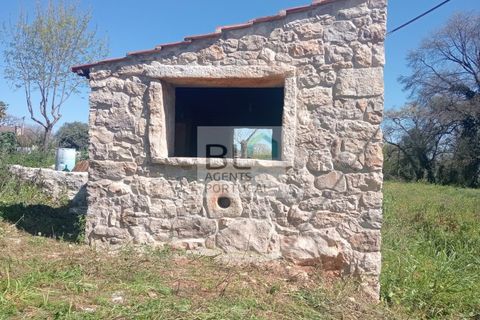 Villa i Pombal, Leiria, Pombal - € 38.000 | Ref: CAS_575 - foto 8