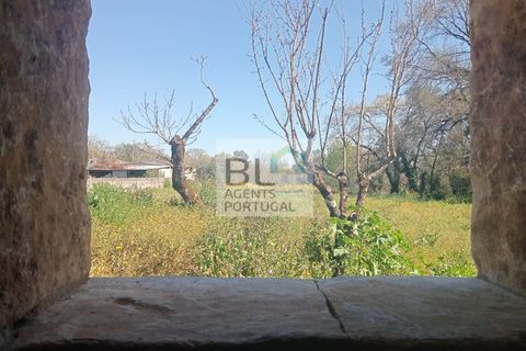 Villa i Pombal, Leiria, Pombal - € 38.000 | Ref: CAS_575 - foto 10