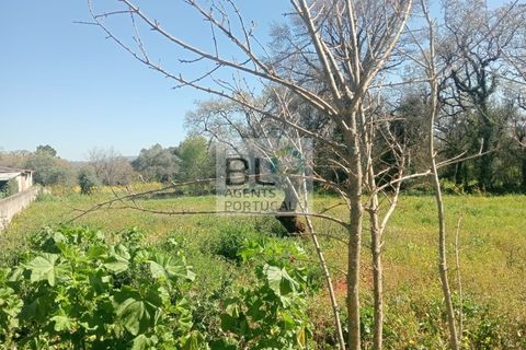 Villa i Pombal, Leiria, Pombal - € 38.000 | Ref: CAS_575 - foto 12