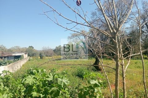 Villa i Pombal, Leiria, Pombal - € 38.000 | Ref: CAS_575 - foto 13