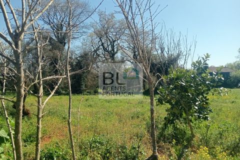 Villa i Pombal, Leiria, Pombal - € 38.000 | Ref: CAS_575 - foto 14