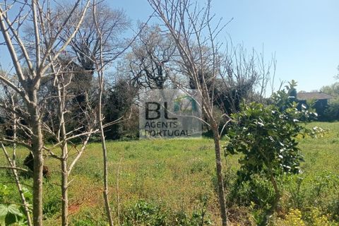 Villa i Pombal, Leiria, Pombal - € 38.000 | Ref: CAS_575 - foto 15