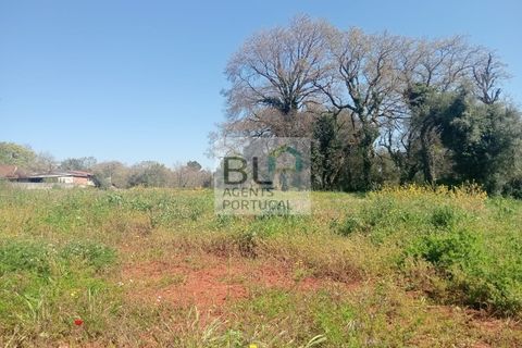 Villa i Pombal, Leiria, Pombal - € 38.000 | Ref: CAS_575 - foto 16