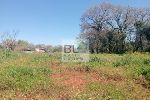 Villa i Pombal, Leiria, Pombal - € 38.000 | Ref: CAS_575 - foto 17