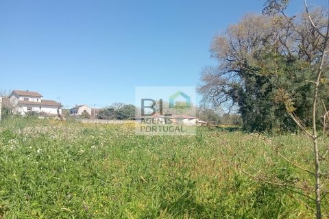 Villa i Pombal, Leiria, Pombal - € 38.000 | Ref: CAS_575 - foto 18