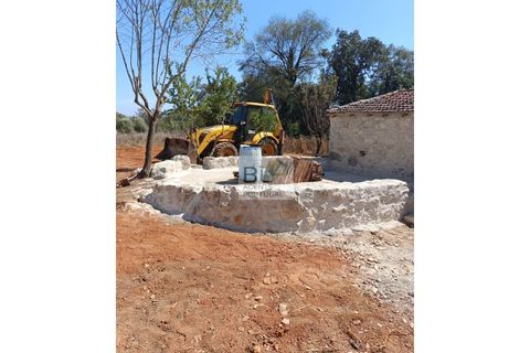 Villa i Pombal, Leiria, Pombal - € 38.000 | Ref: CAS_575 - foto 25
