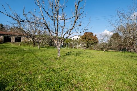 Farm i Paredes, Porto, Paredes - € 800.000 | Ref: ZMPT575855 - foto 2
