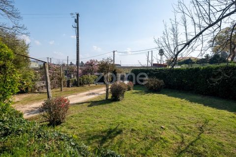 Farm i Paredes, Porto, Paredes - € 800.000 | Ref: ZMPT575855 - foto 3