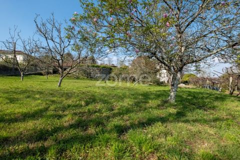 Farm i Paredes, Porto, Paredes - € 800.000 | Ref: ZMPT575855 - foto 4