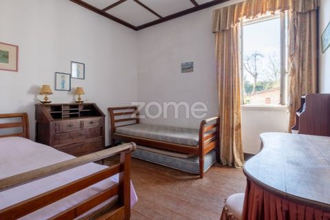 Farm i Paredes, Porto, Paredes - € 800.000 | Ref: ZMPT575855 - foto 12