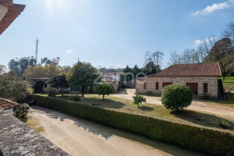 Farm i Paredes, Porto, Paredes - € 800.000 | Ref: ZMPT575855 - foto 15