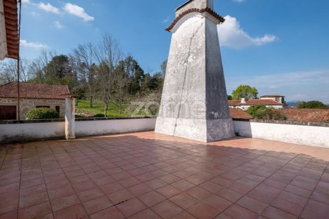 Farm i Paredes, Porto, Paredes - € 800.000 | Ref: ZMPT575855 - foto 16