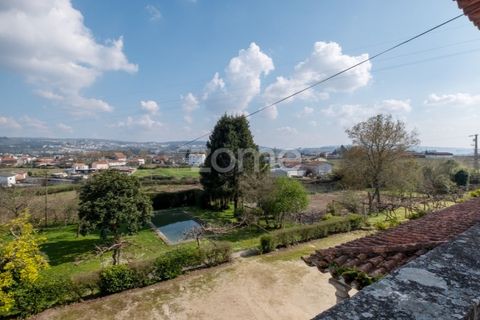 Farm i Paredes, Porto, Paredes - € 800.000 | Ref: ZMPT575855 - foto 17