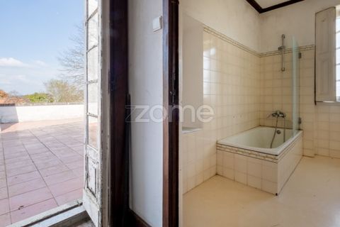 Farm i Paredes, Porto, Paredes - € 800.000 | Ref: ZMPT575855 - foto 19