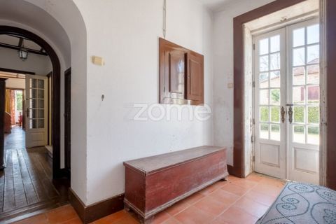 Farm i Paredes, Porto, Paredes - € 800.000 | Ref: ZMPT575855 - foto 21