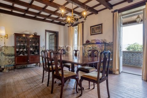 Farm i Paredes, Porto, Paredes - € 800.000 | Ref: ZMPT575855 - foto 28