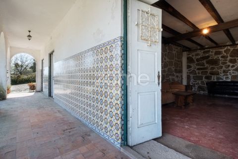 Farm i Paredes, Porto, Paredes - € 800.000 | Ref: ZMPT575855 - foto 50