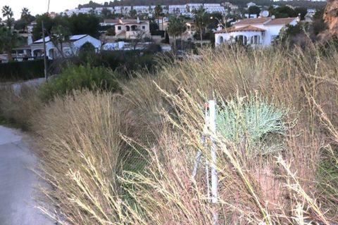 Terra a Calpe, Alicante, Calpe - € 160.000 | Ref: CVPCAP1 - foto 4