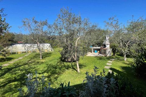 Villa i Grosseto, Grosseto, Grosseto - € 650.000 | Ref: a7631rv2457793a - foto 29