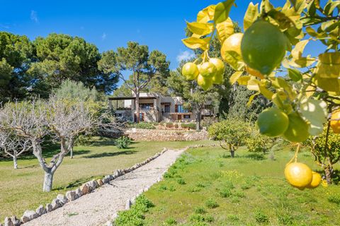 Villa i Andratx, Mallorca, Andratx - € 3.950.000 | Ref: SWOPTA40051 - foto 22