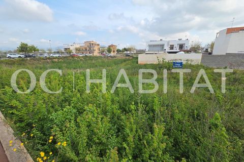 Helårsgrund i El Puig, Valencia, El Puig - € 147.900 | Ref: PL008/6904 - foto 14