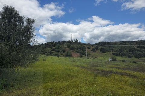 Farm i Tavira, Faro, Tavira - € 1.785.000 | Ref: CF482 - foto 5