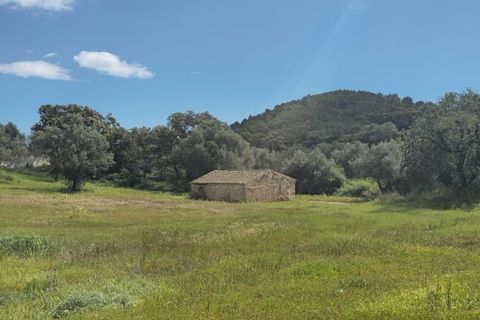 Farm i Tavira, Faro, Tavira - € 1.785.000 | Ref: CF482 - foto 6