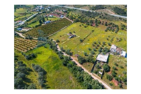 Farm i Tavira, Faro, Tavira - € 1.785.000 | Ref: CF482 - foto 12