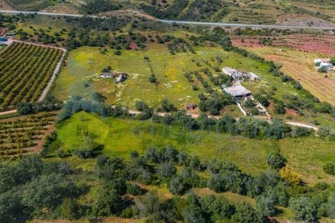 Farm i Tavira, Faro, Tavira - € 1.785.000 | Ref: CF482 - foto 14