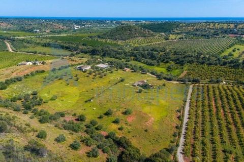 Farm i Tavira, Faro, Tavira - € 1.785.000 | Ref: CF482 - foto 15