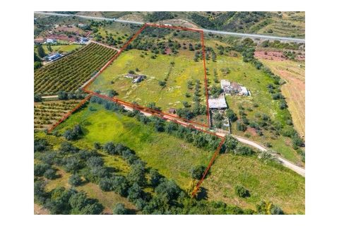 Farm i Tavira, Faro, Tavira - € 1.785.000 | Ref: CF482 - foto 16