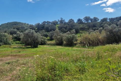 Farm i Tavira, Faro, Tavira - € 1.785.000 | Ref: CF482 - foto 17