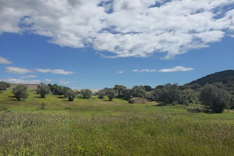 Farm i Tavira, Faro, Tavira - € 1.785.000 | Ref: CF482 - foto 19