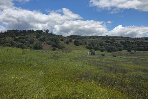 Farm i Tavira, Faro, Tavira - € 1.785.000 | Ref: CF482 - foto 20