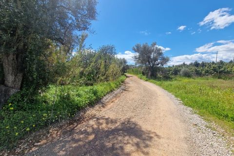 Farm i Tavira, Faro, Tavira - € 1.785.000 | Ref: CF482 - foto 21