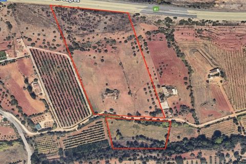 Farm i Tavira, Faro, Tavira - € 1.785.000 | Ref: CF482 - foto 22
